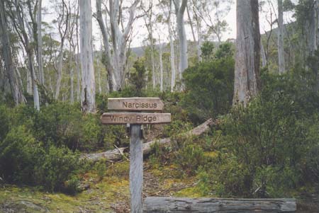 Tasmania Cradle Mt Trek 2 2003